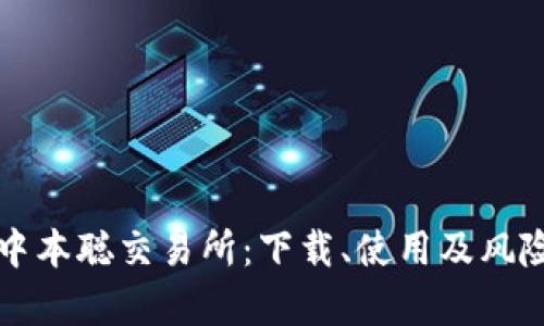 全面解析中本聪交易所：下载、使用及风险防范指南