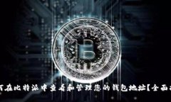 如何在比特派中查看和管