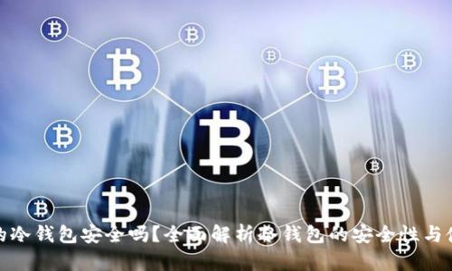 : 国内的冷钱包安全吗？全面解析冷钱包的安全性与使用指南
