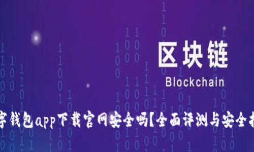 数字钱包app下载官网安全吗？全面评测与安全指南