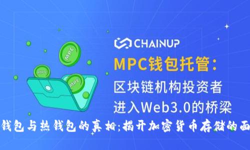 冷钱包与热钱包的真相：揭开加密货币存储的面纱