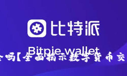 USDT交易平台安全吗？全面揭示数字货币交易的安全性与风险