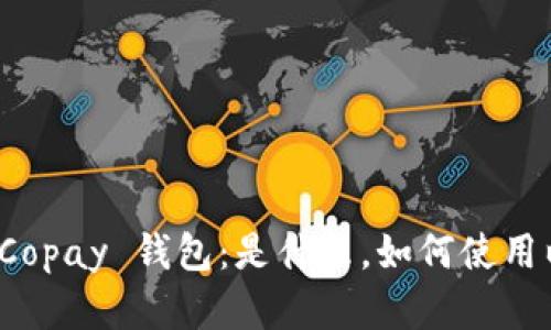深入解析 Copay 钱包：是什么，如何使用以及其优势