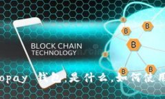 深入解析 Copay 钱包：是什