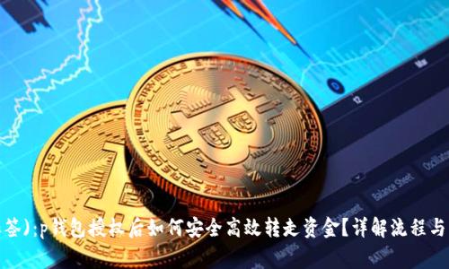  (使用标签)：p钱包授权后如何安全高效转走资金？详解流程与注意事项