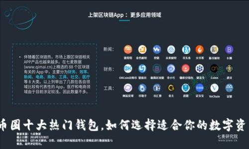 深入解析：币圈十大热门钱包，如何选择适合你的数字资产存储方案