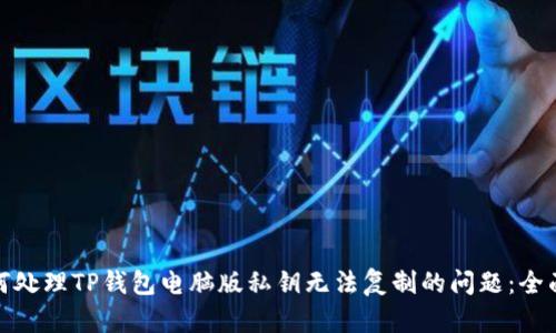 : 如何处理TP钱包电脑版私钥无法复制的问题：全面指南