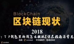 全面解析: T P钱包里的钱怎