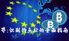 探寻“TP钱包”世界：识别钓鱼站的全面指南与安
