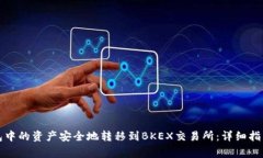如何将TP钱包中的资产安全地转移到BKEX交易所：
