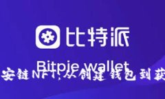如何使用TP钱包接收币安链NFT：从创建钱包到获取