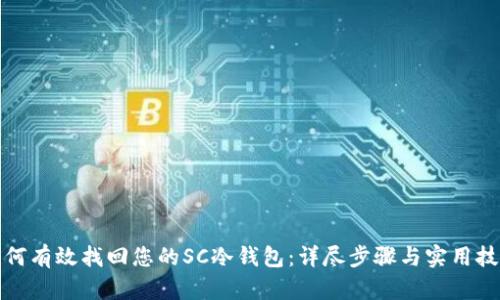如何有效找回您的SC冷钱包：详尽步骤与实用技巧