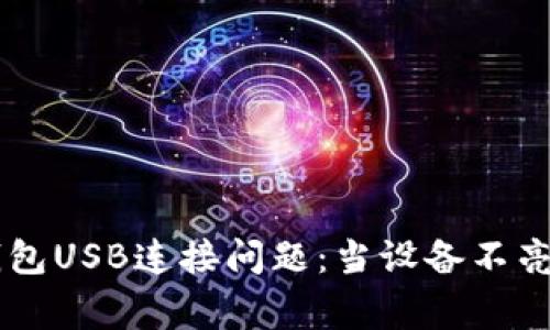 解决Ledger钱包USB连接问题：当设备不亮时的排查步骤